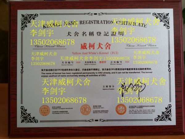 CKU