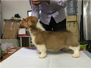 1弟弟 (4).jpg