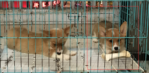 1弟弟 (5).png