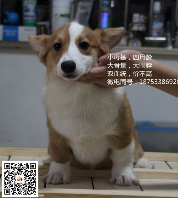 IMG_7830_副本.jpg