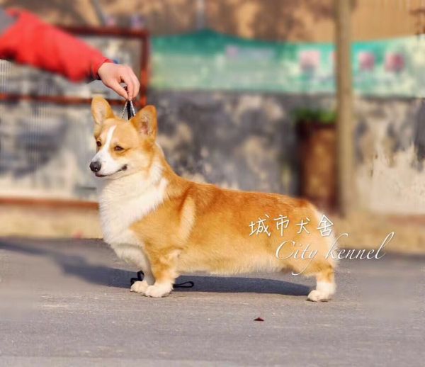 QQ图片20170401082433.jpg