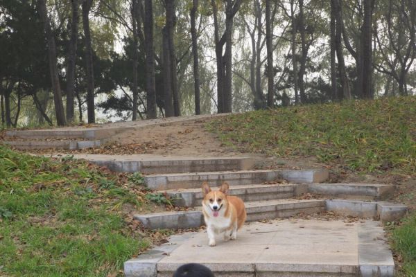 QQ图片20170401082447.jpg