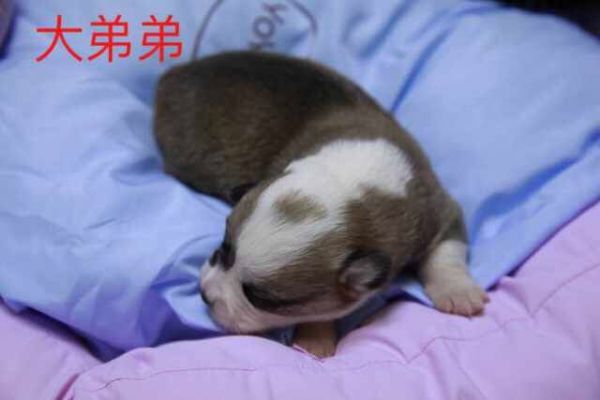 QQ图片20170401082513.jpg