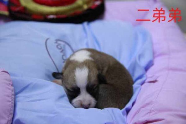 QQ图片20170401082517.jpg