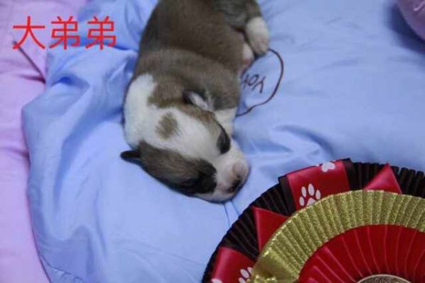 QQ图片20170401082522.jpg
