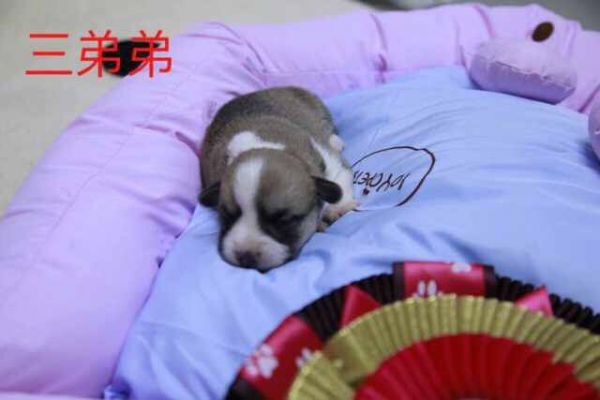QQ图片20170401082527.jpg
