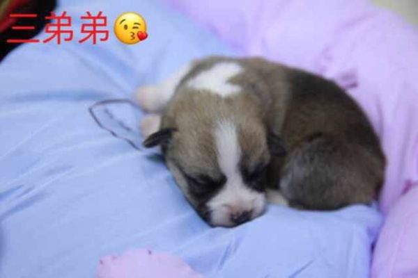 QQ图片20170401082532.jpg