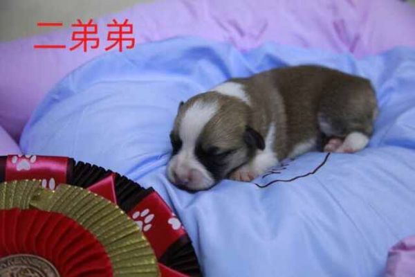 QQ图片20170401082536.jpg