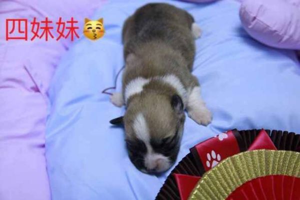 QQ图片20170401082549.jpg