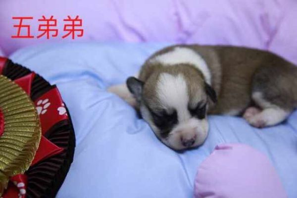 QQ图片20170401082554.jpg