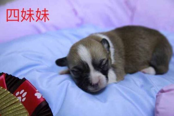 QQ图片20170401082558.jpg