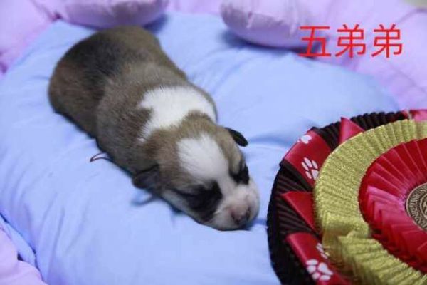 QQ图片20170401082602.jpg