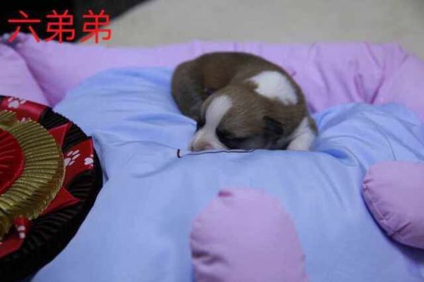 QQ图片20170401082606.jpg
