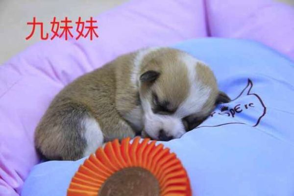 QQ图片20170401082614.jpg
