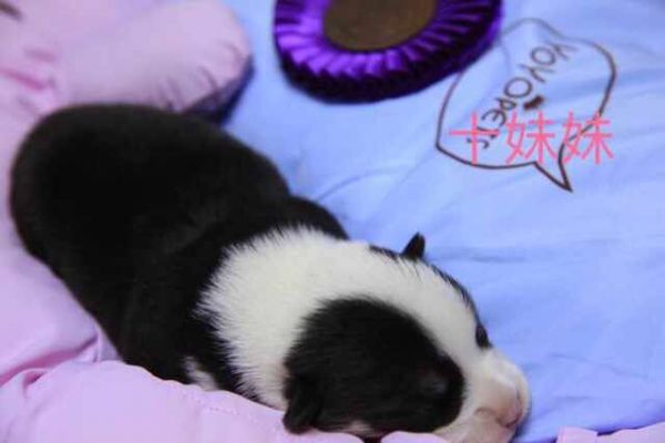 QQ图片20170401082622.jpg
