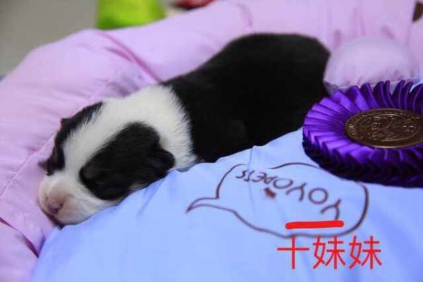QQ图片20170401082630.jpg