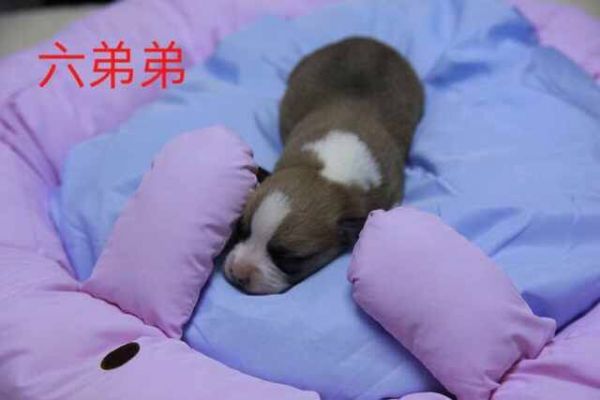 QQ图片20170401082634.jpg