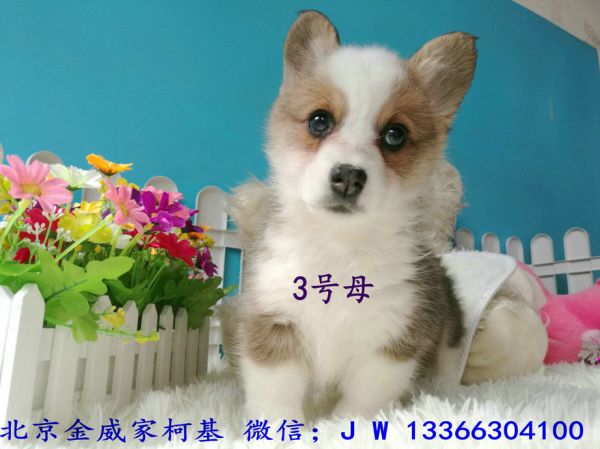 IMG_20170306_124048.jpg