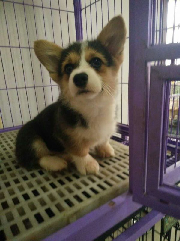 webwxgetmsgimg (3).jpg