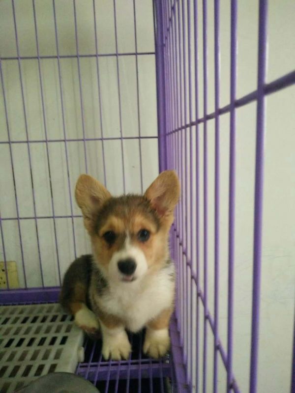 webwxgetmsgimg (4).jpg