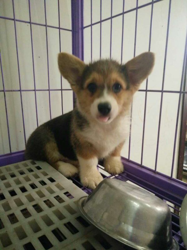 webwxgetmsgimg (6).jpg