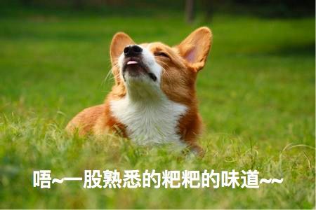 WechatIMG3的副本.jpeg