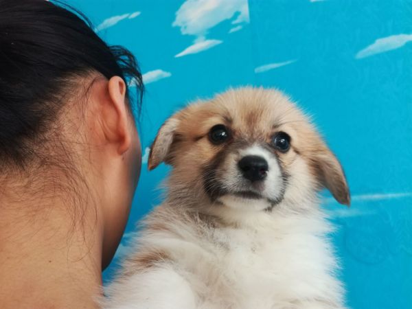 QQ图片20170403214856.jpg