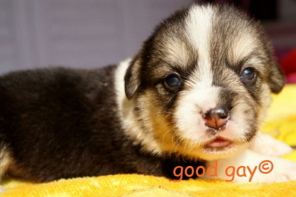 95347