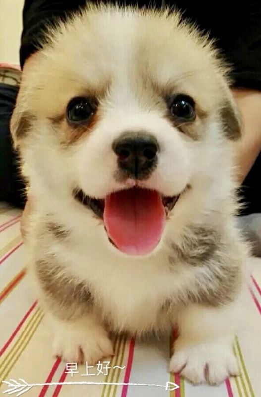 QQ图片20170407103551.jpg