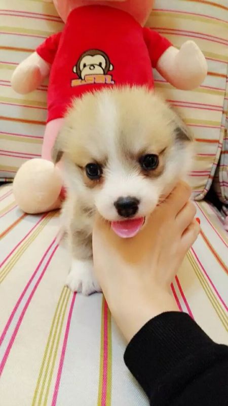 QQ图片20170407103602.jpg