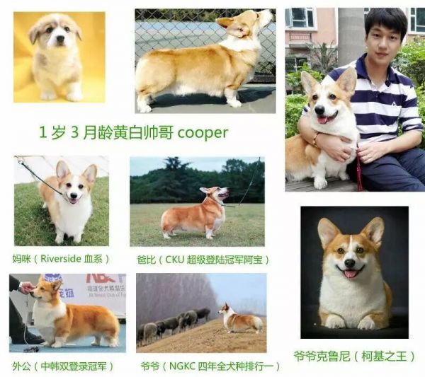 QQ图片20170407103841.jpg