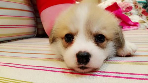 QQ图片20170407103556.jpg