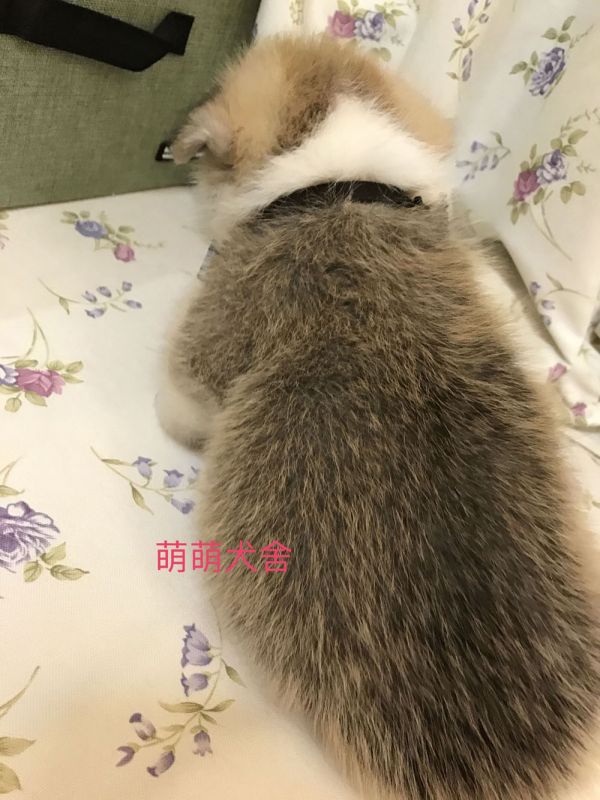 QQ图片20170407105525.jpg