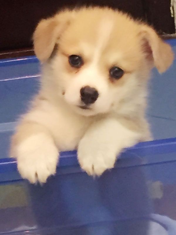 QQ图片20170407103529.jpg