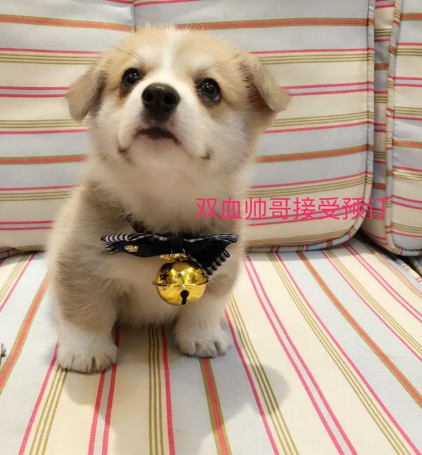 QQ图片20170408133828.jpg