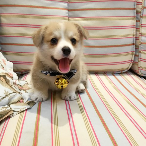 QQ图片20170408133801.jpg