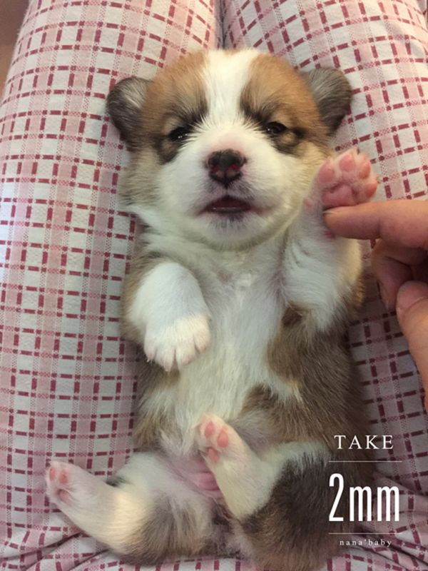 webwxgetmsgimg (6)_副本2MM.jpg