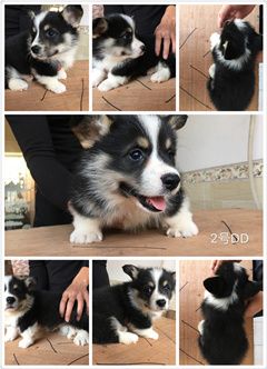 IMG_0585_副本12.jpg