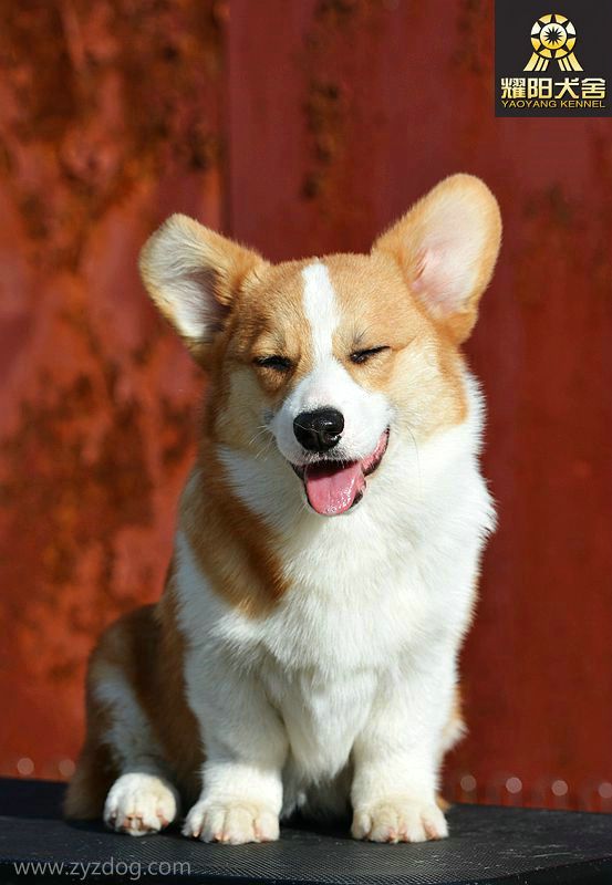 DSC_4476_副本.jpg