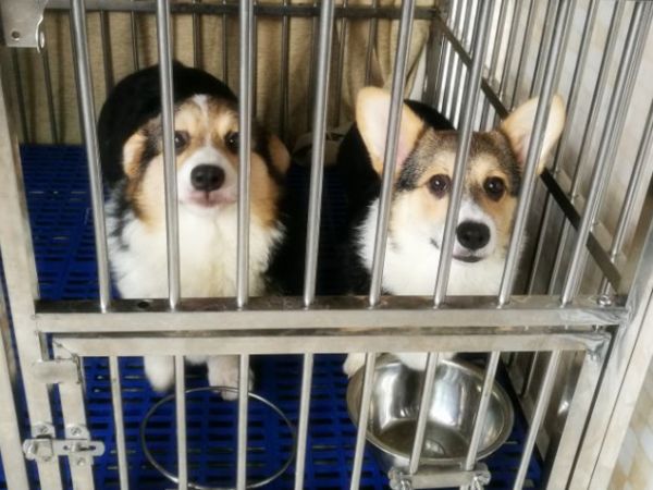 QQ图片20170506091834.jpg