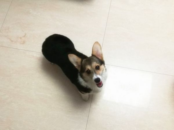 QQ图片20170506091810.jpg