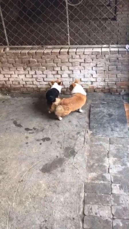微信图片_20170508090010.jpg