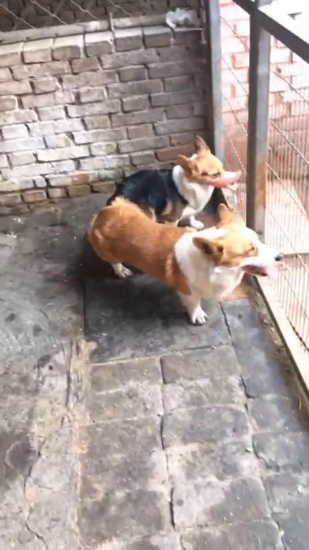微信图片_20170508090109.jpg
