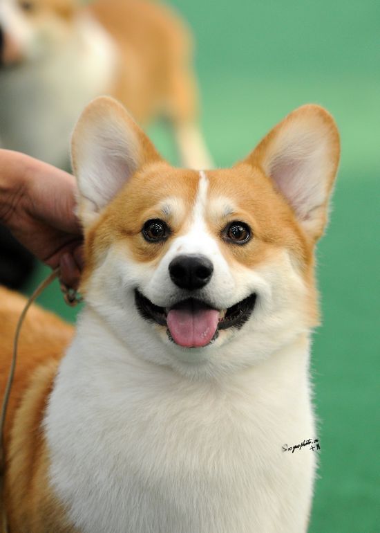 193536hlounnqt4ibyntlf.jpg.thumb.jpg