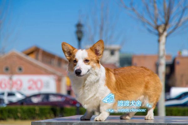 webwxgetmsgimg (2).jpg