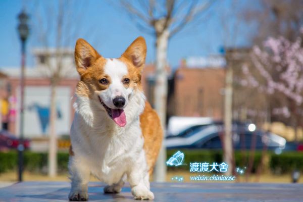 webwxgetmsgimg (4).jpg