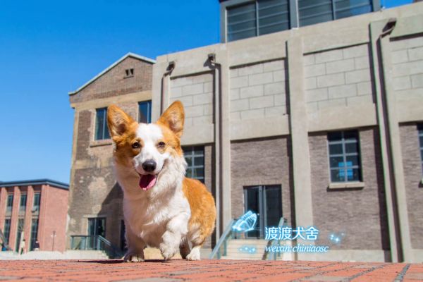 webwxgetmsgimg (7).jpg