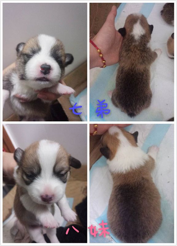 803098962.jpg
