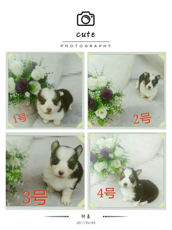 QQ图片20170408203342.jpg