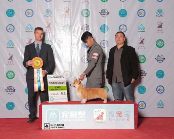 微信图片_20170421124305.jpg